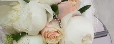 Immagine 2 azienda AGENZIA FUNEBRE ROSANIA ANGELINA Shopping e acquisti in Caposele AV