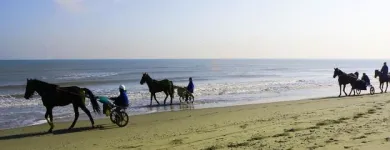 Immagine 1 azienda AGENZIA IMMOBILIARE RAVENNA SERVIZI Servizi professionali in Ravenna