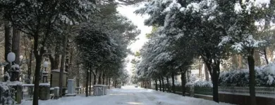 Immagine 2 azienda AGENZIA IMMOBILIARE RAVENNA SERVIZI Servizi professionali in Ravenna