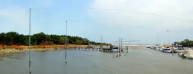 Immagine 6 azienda AGENZIA IMMOBILIARE RAVENNA SERVIZI Servizi professionali in Ravenna