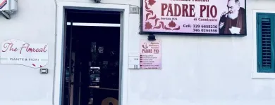 Immagine 1 azienda AGENZIA PADRE PIO DI ROCCO CANNIZZARO DETTO “LINO” Servizi professionali in Scordia CT