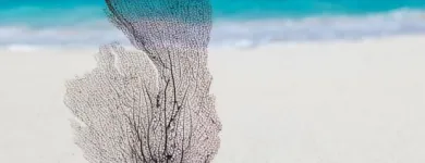 Immagine 3 azienda AGENZIA VIAGGI TRADATESE Viaggi e turismo in Tradate VA