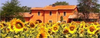 Immagine 1 azienda AGRINIDO E AGRIMATERNA IL GIROTONDO Scuola infanzia in Fiumicino RM