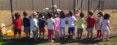 Immagine 3 azienda AGRINIDO E AGRIMATERNA IL GIROTONDO Scuola infanzia in Fiumicino RM
