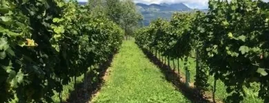 Immagine 2 azienda AGRITURISMO IL BOSCO Viaggi e turismo in Vittorio Veneto TV