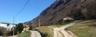 Immagine 3 azienda AGRITURISMO IL BOSCO Viaggi e turismo in Vittorio Veneto TV