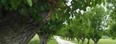 Immagine 4 azienda AGRITURISMO IL GELSO Viaggi e turismo in Fabriano AN