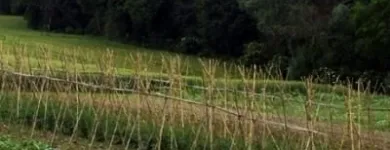 Immagine 6 azienda AGRITURISMO IL GELSO Viaggi e turismo in Fabriano AN