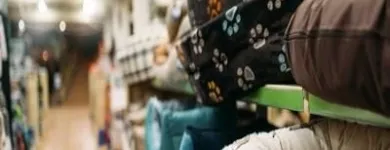 Immagine 2 azienda AGROZOOMARKET MARESCA AGNELLO Shopping e acquisti in Piano Di Sorrento NA