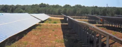 Immagine 5 azienda ALBERGO PETROLI Shopping e acquisti in Bari