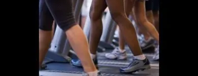 Immagine 1 azienda ALL SPORT Shopping e acquisti in Chieri