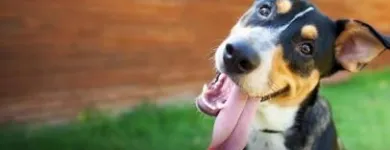 Immagine 1 azienda ALLIANZ - ASSIFIN SRL Servizi legali e finanziari in Palermo