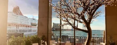Immagine 3 azienda AMARCORD BAR RISTORANTE Ristorante in Ancona