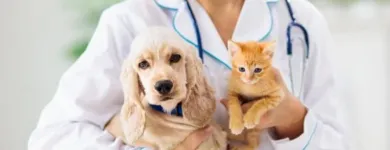 Immagine 1 azienda AMBULATORIO VETERINARIO CAMILLETTI DR. MIRCO Veterinario in Ancona