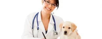 Immagine 2 azienda AMBULATORIO VETERINARIO CAMILLETTI DR. MIRCO Veterinario in Ancona