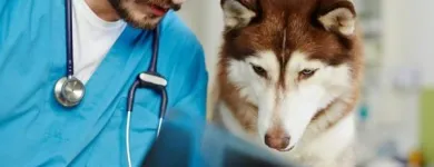 Immagine 6 azienda AMBULATORIO VETERINARIO CAMILLETTI DR. MIRCO Veterinario in Ancona