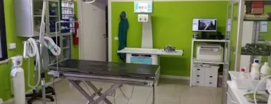 Immagine 4 azienda AMBULATORIO VETERINARIO DR. MARCELLO IOTTI Veterinario in Campogalliano MO