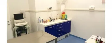 Immagine 1 azienda AMBULATORIO VETERINARIO MURA DEI FRANCESI Veterinario in Ciampino RM