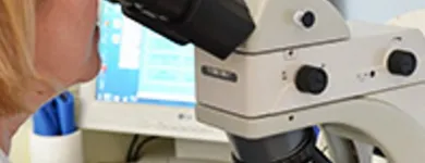 Immagine 3 azienda ANALISI CLINICHE GIULIO CIAFFI Salute in Roma