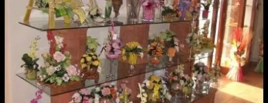 Immagine 1 azienda ANGOLO DEI FIORI Vivaio in San Giorgio A Cremano NA