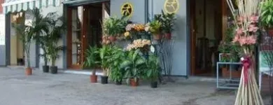 Immagine 4 azienda ANGOLO DEI FIORI Vivaio in San Giorgio A Cremano NA