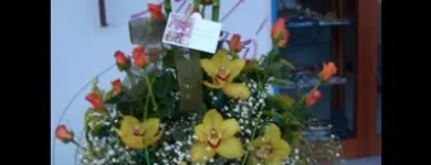 Immagine 8 azienda ANGOLO DEI FIORI Vivaio in San Giorgio A Cremano NA