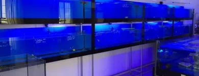 Immagine 7 azienda AQUARIUM LIFE Shopping e acquisti in Torino