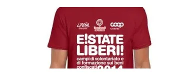 Immagine 15 azienda ART- SHIRT DI CORINA LEONARDO SANTO Shopping e acquisti in Roma