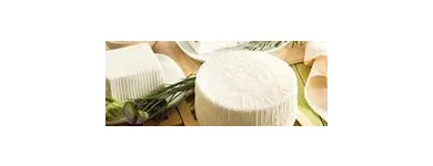 Immagine 3 azienda AZIENDA AGRICOLA TOMBINI LUCIO Servizi agricoli in Tarquinia VT