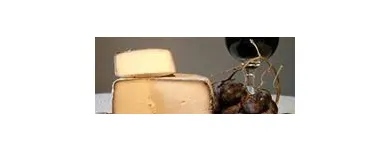 Immagine 4 azienda AZIENDA AGRICOLA TOMBINI LUCIO Servizi agricoli in Tarquinia VT