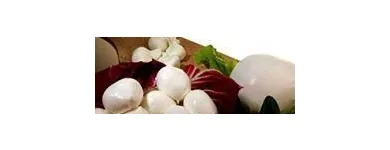 Immagine 5 azienda AZIENDA AGRICOLA TOMBINI LUCIO Servizi agricoli in Tarquinia VT