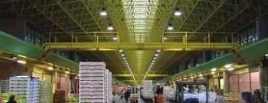 Immagine 5 azienda AZIENDA AGRICOLA TULLIO PIERINO Servizi agricoli in Cappelle Sul Tavo PE