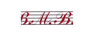 Immagine 1 azienda B.M.B. MUSIC Strumenti musicali in Cantù