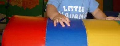 Immagine 7 azienda BABY GYM Sport e tempo libero in Torino