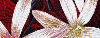 Immagine 3 azienda BGF CERAMICHE Shopping e acquisti in Formigine MO