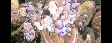 Immagine 4 azienda BLUE LIFE ACQUARIOLOGIA Shopping e acquisti in Napoli