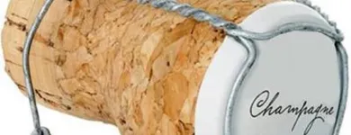 Immagine 4 azienda BOLLA ROSA ENOTECA Negozio di vini in Bologna