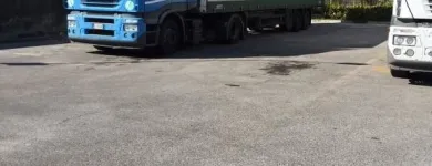 Immagine 1 azienda BORGIA TRASPORTI Veicoli in Nettuno RM