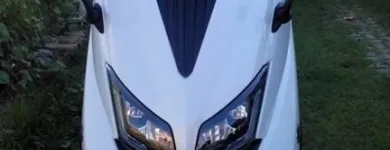 Immagine 5 azienda BORGIA TRASPORTI Veicoli in Nettuno RM