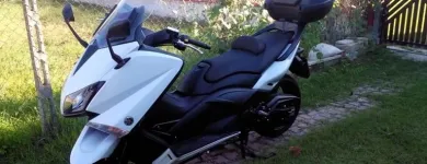 Immagine 7 azienda BORGIA TRASPORTI Veicoli in Nettuno RM