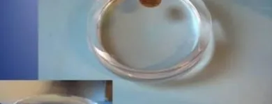 Immagine 1 azienda BOZZIFIAMME Shopping e acquisti in Lainate MI