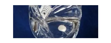 Immagine 7 azienda BOZZIFIAMME Shopping e acquisti in Lainate MI