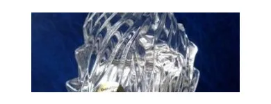 Immagine 9 azienda BOZZIFIAMME Shopping e acquisti in Lainate MI