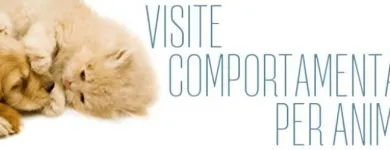 Immagine 2 azienda BUSNELLI DR. SERGIO VETERINARIO Veterinario in Saronno VA