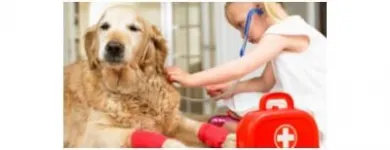 Immagine 8 azienda BUSNELLI DR. SERGIO VETERINARIO Veterinario in Saronno VA