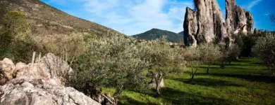 Immagine 7 azienda CANTINA SANT'ANDREA Negozio di vini in Terracina LT