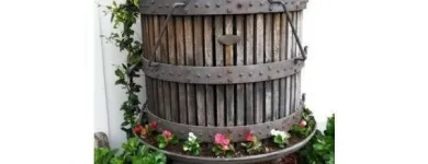Immagine 2 azienda CANTINA STELLA Negozio di vini in Cison Di Valmarino TV