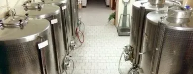 Immagine 5 azienda CANTINA STELLA Negozio di vini in Cison Di Valmarino TV