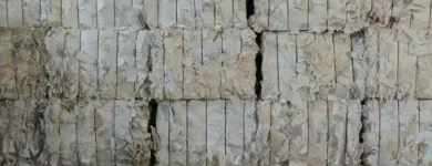 Immagine 1 azienda CARTA DA MACERO GALATEA Servizi professionali in Galatone LE
