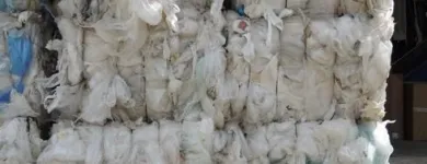 Immagine 2 azienda CARTA DA MACERO GALATEA Servizi professionali in Galatone LE